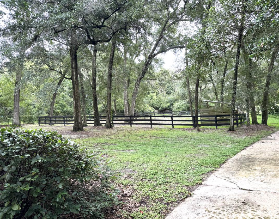 Country Charm, Suburban Ease in Central Florida - photo 11
