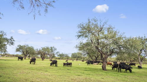 Property image.