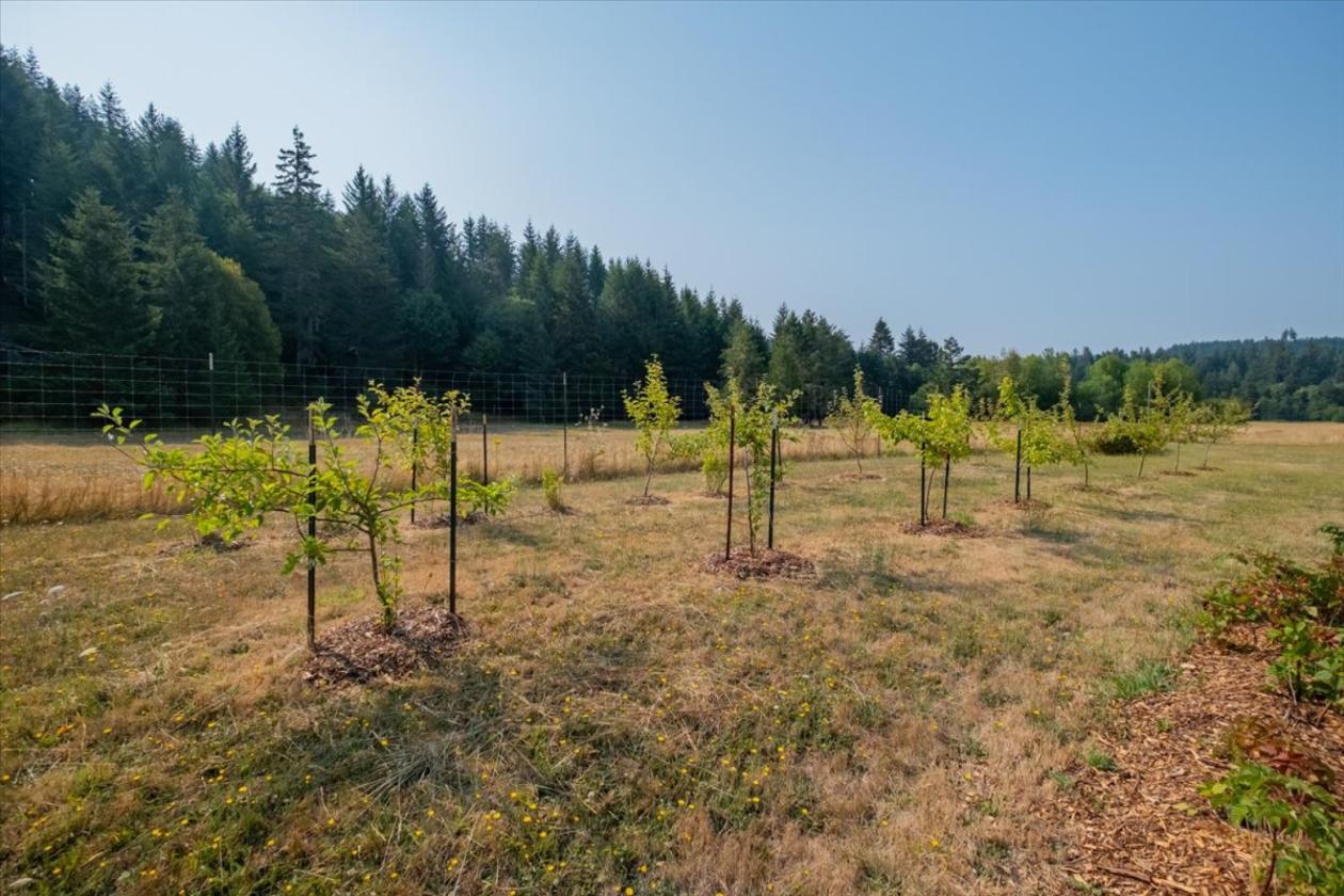 Pristine Hobby Farm in Coastal Oregon with a Creek - photo 19