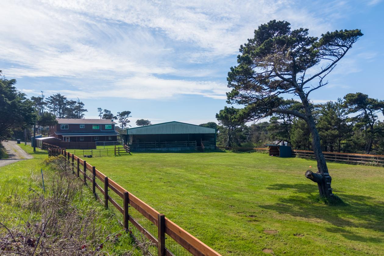 1.32 Acres with Panoramic Pacific Ocean Views - photo 7