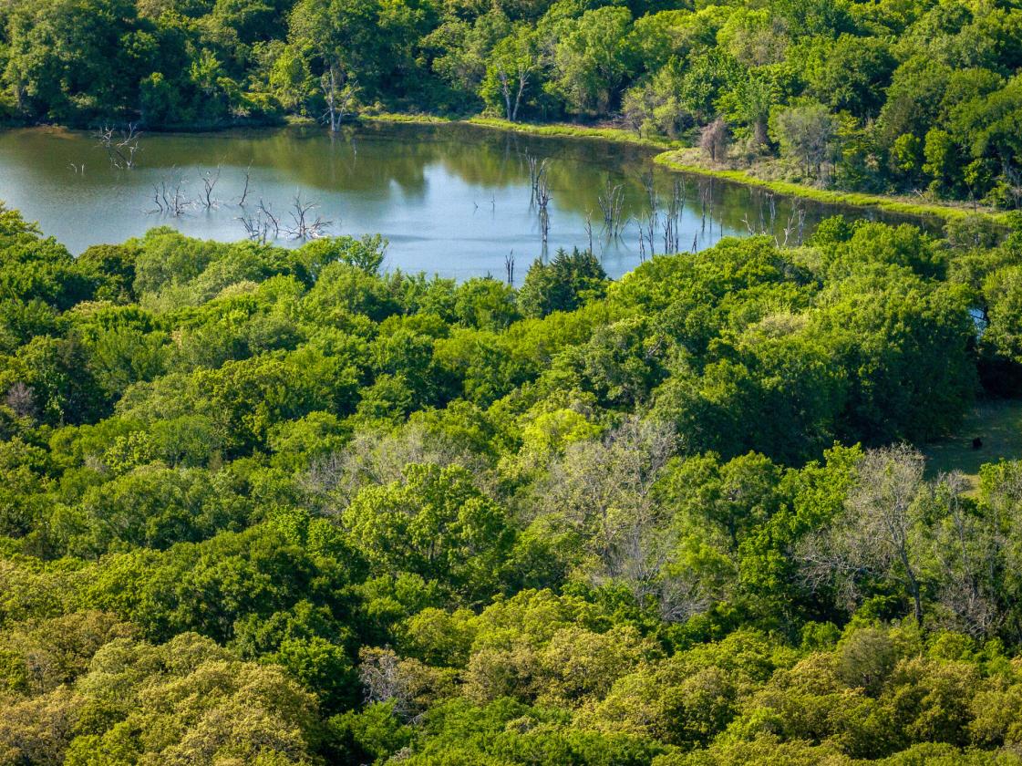 Brittany Hollow Ranch - photo 12