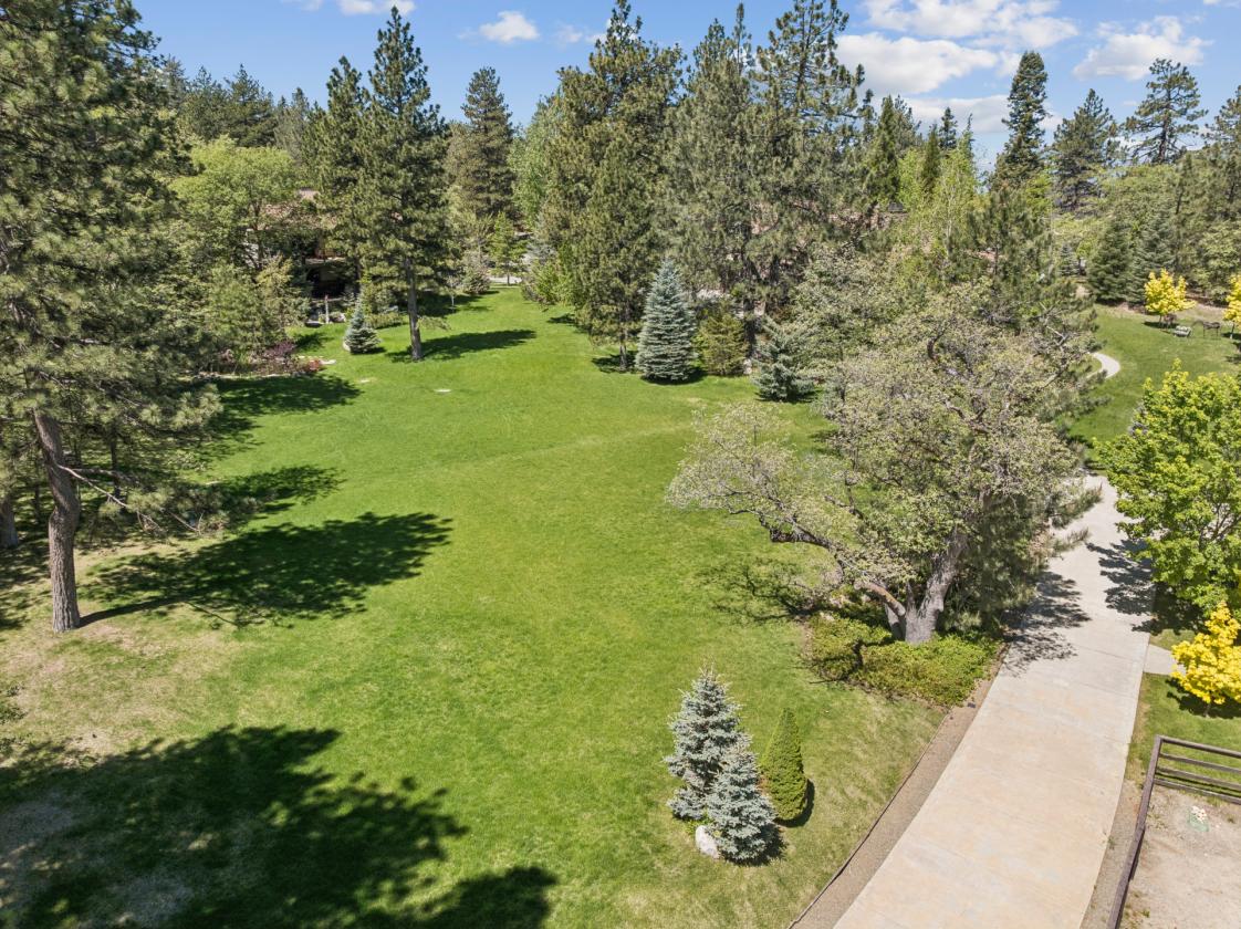 Luxury Equestrian Estate in the Mountains - photo 5