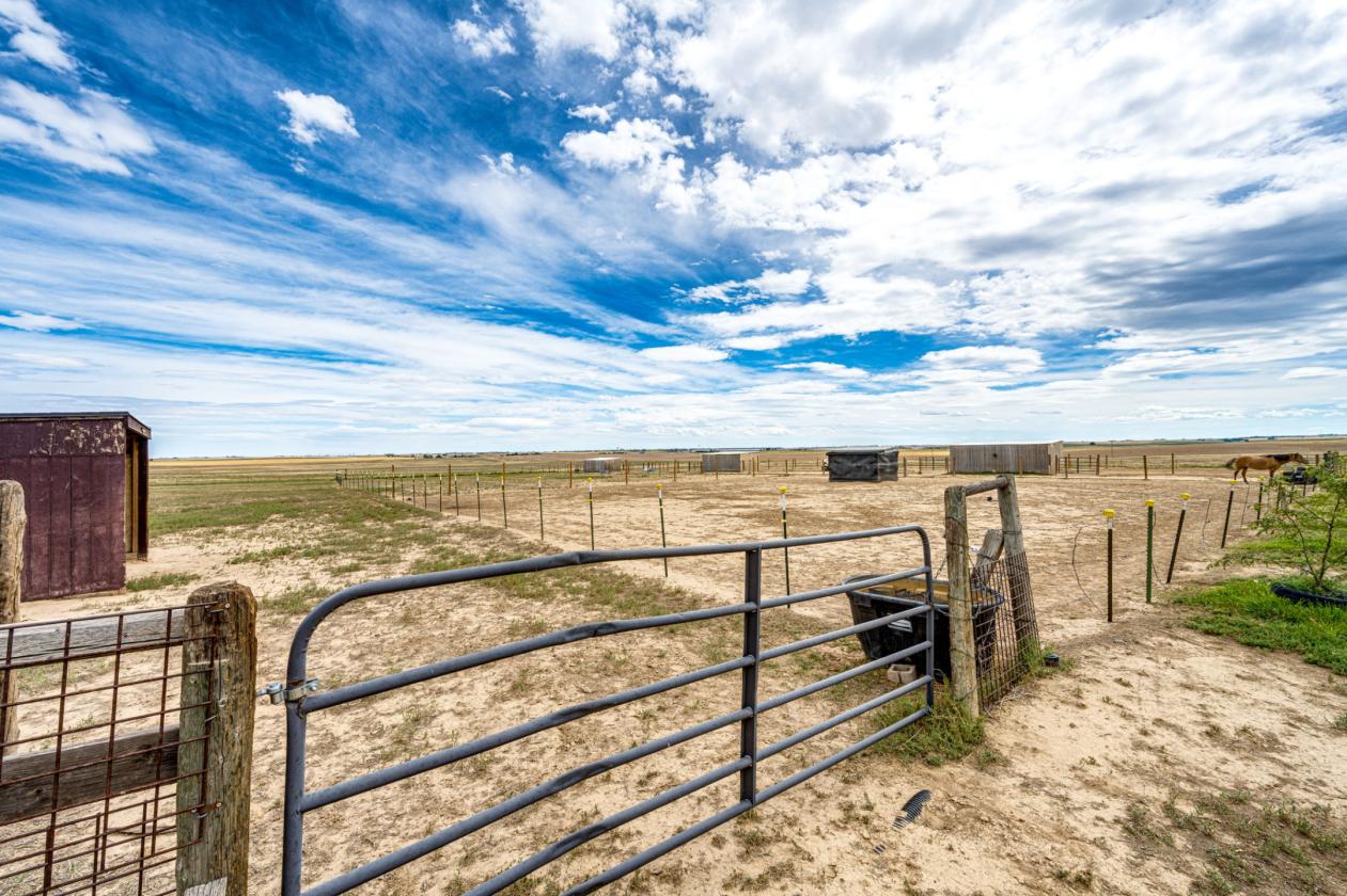 Horse Property & Multi-Generational living! - photo 21