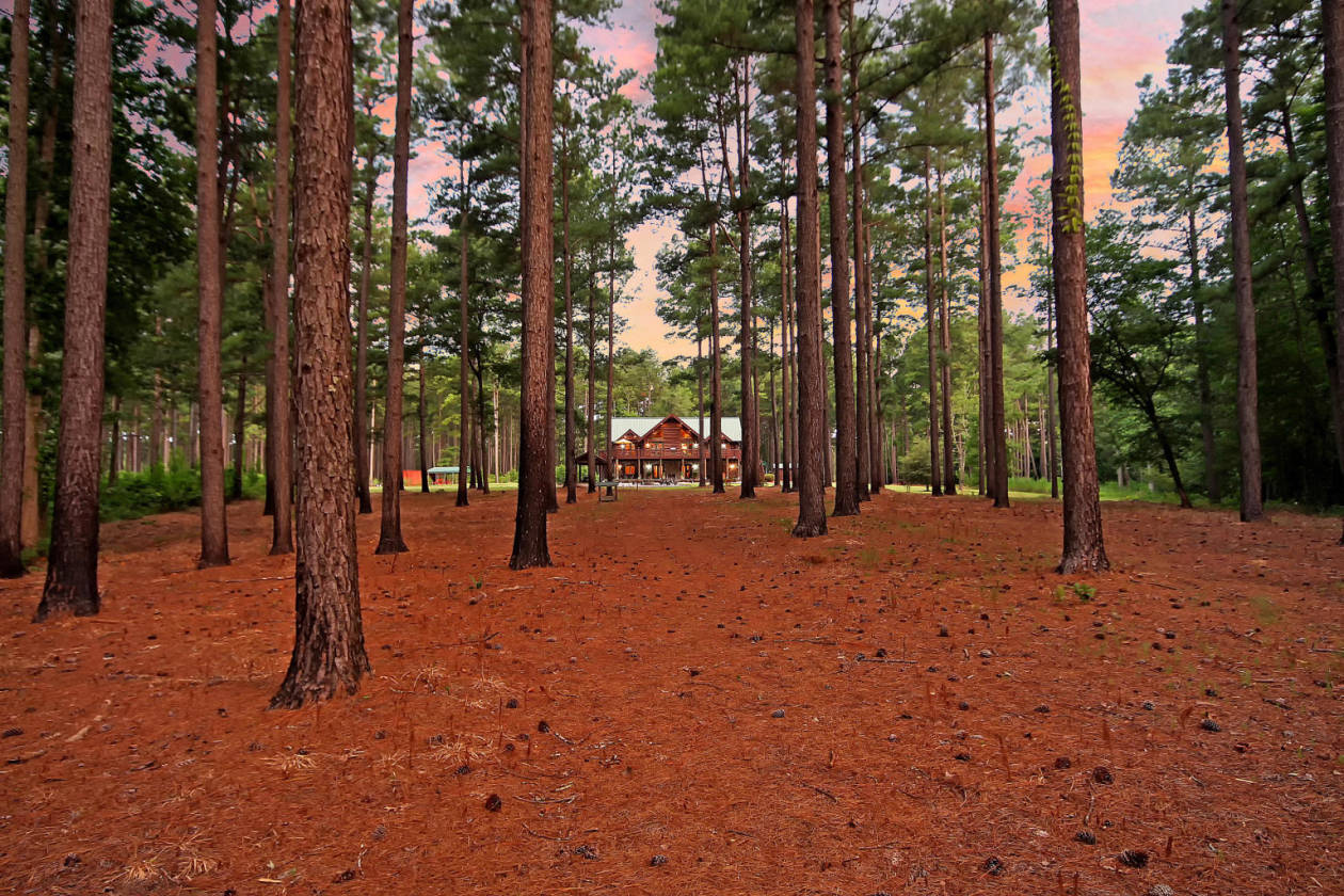 Spectacular log home estate and tree farm Summerville, Berkeley