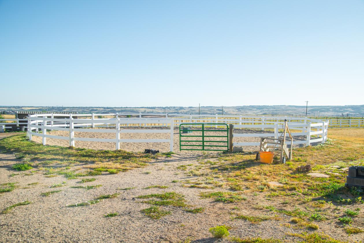 Zuma's Ranch - photo 13