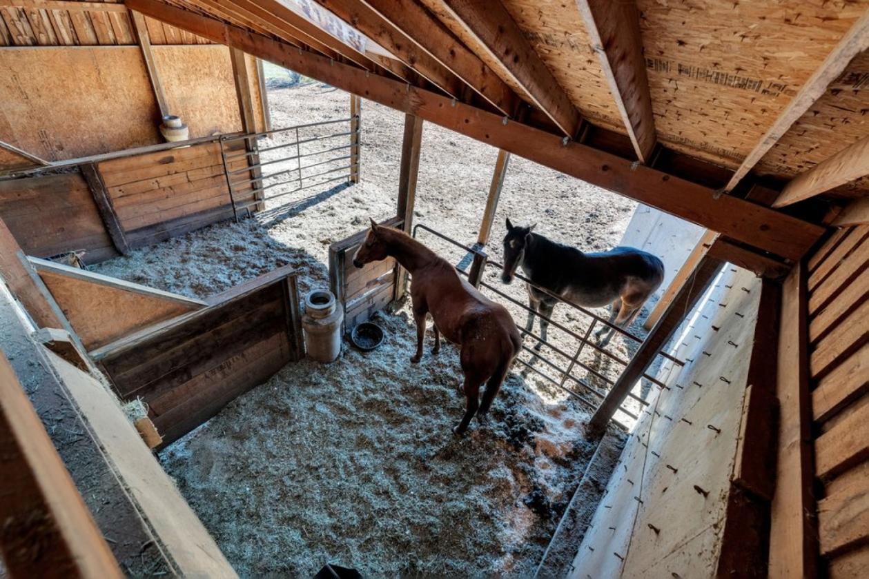 Wonderful Horse Property - photo 25