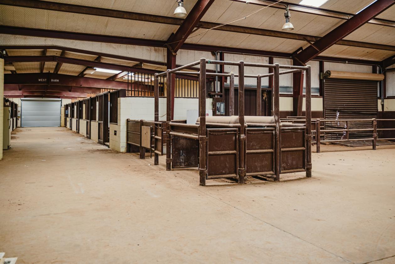 The Ultimate Equestrian Estate - photo 23