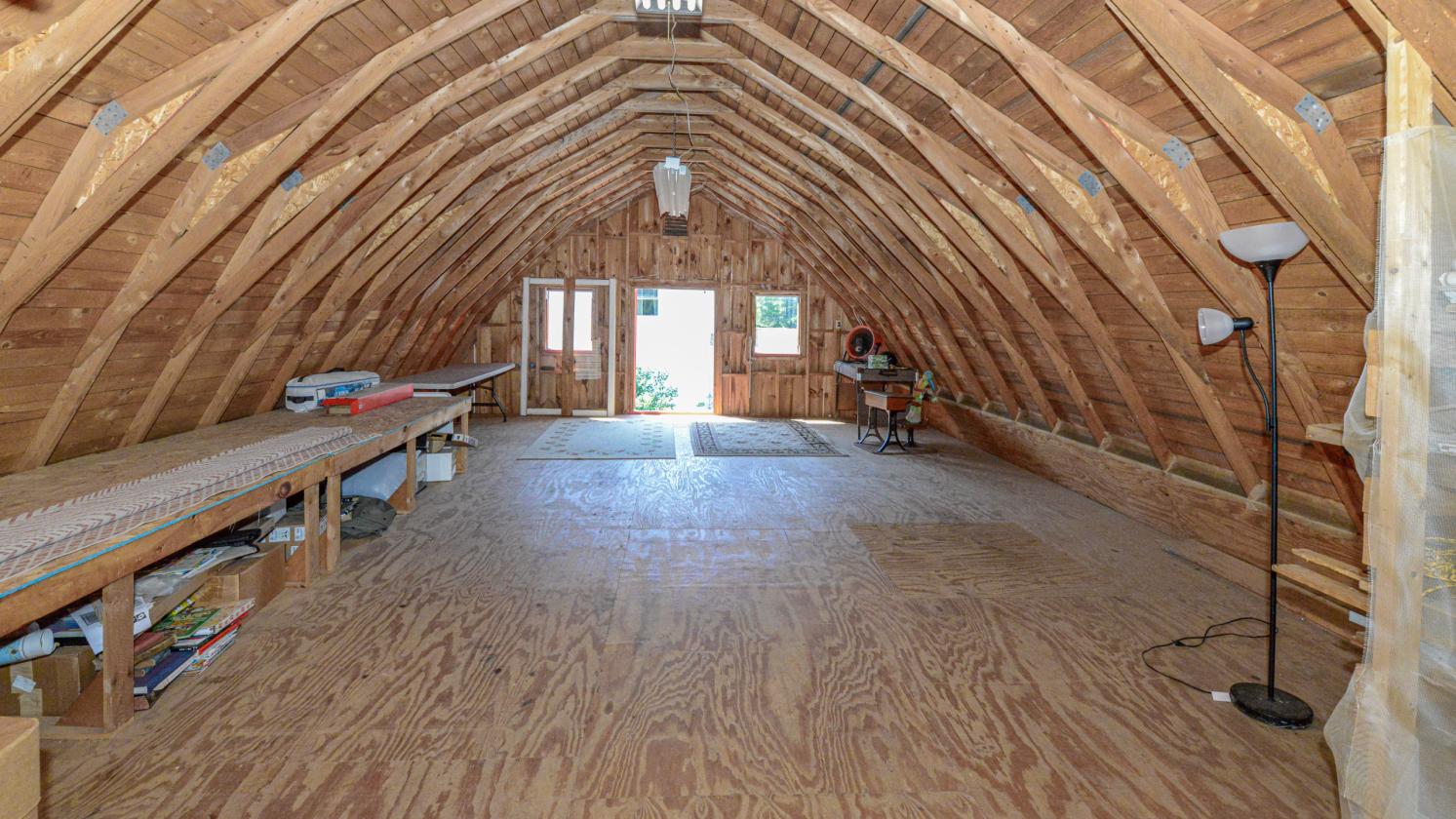 Homesteading Horse Opportunity! - photo 22