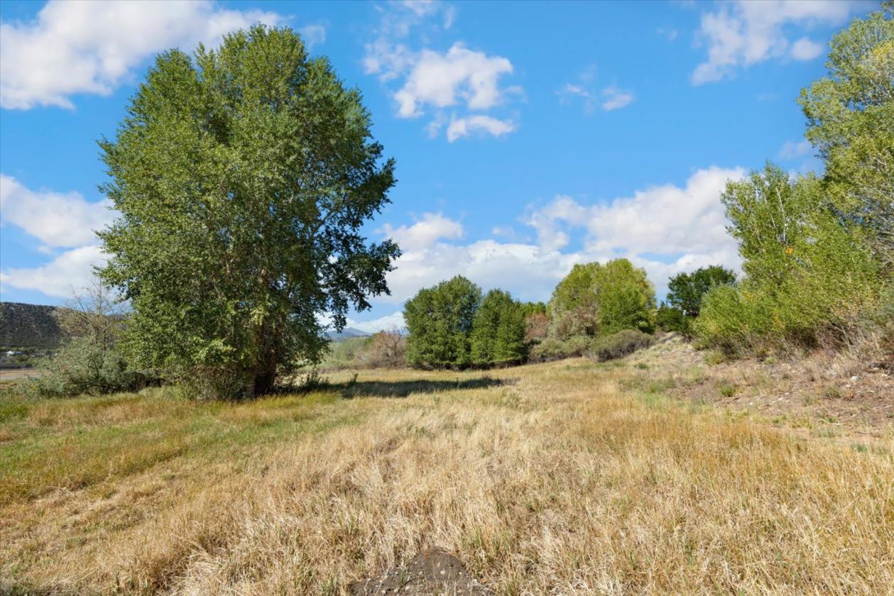 5-acre horse property - photo 6