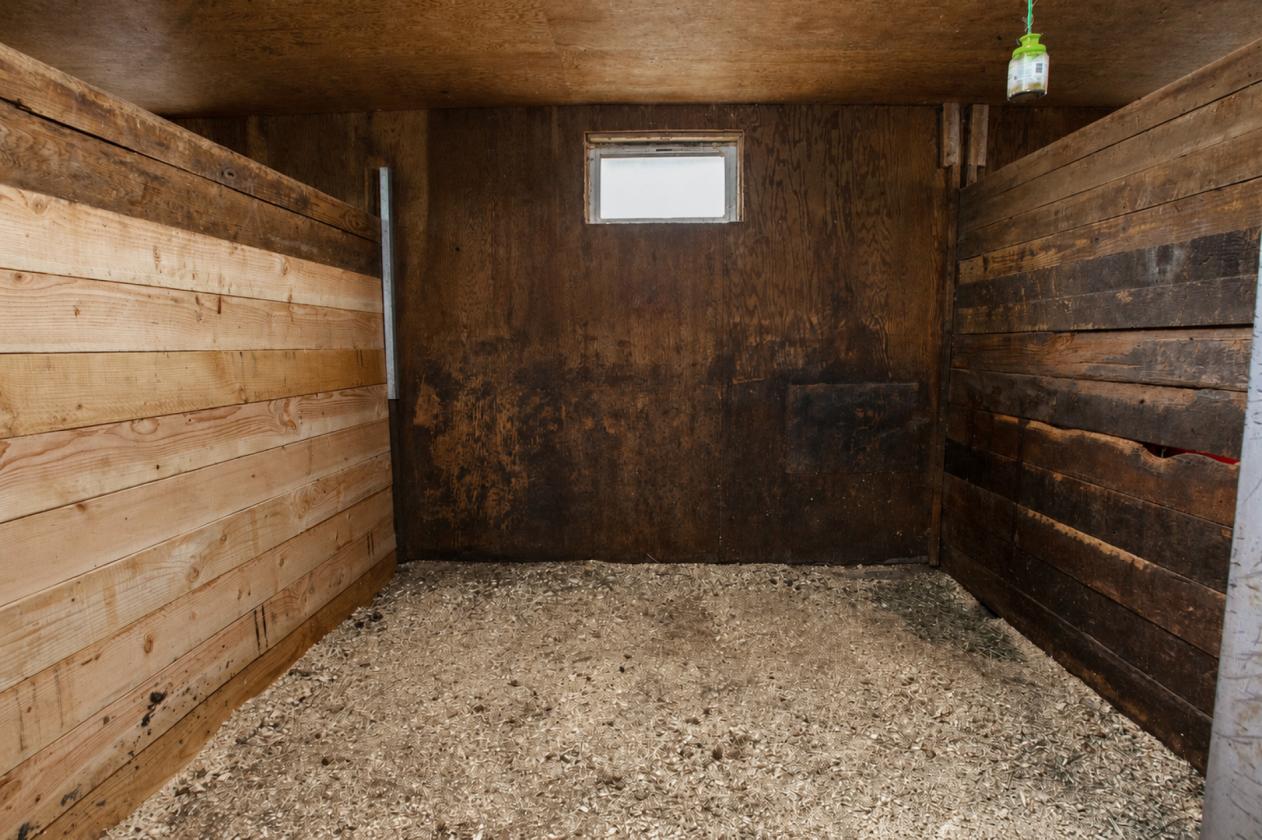Turnkey Horse Farm on 59 Acres - photo 6