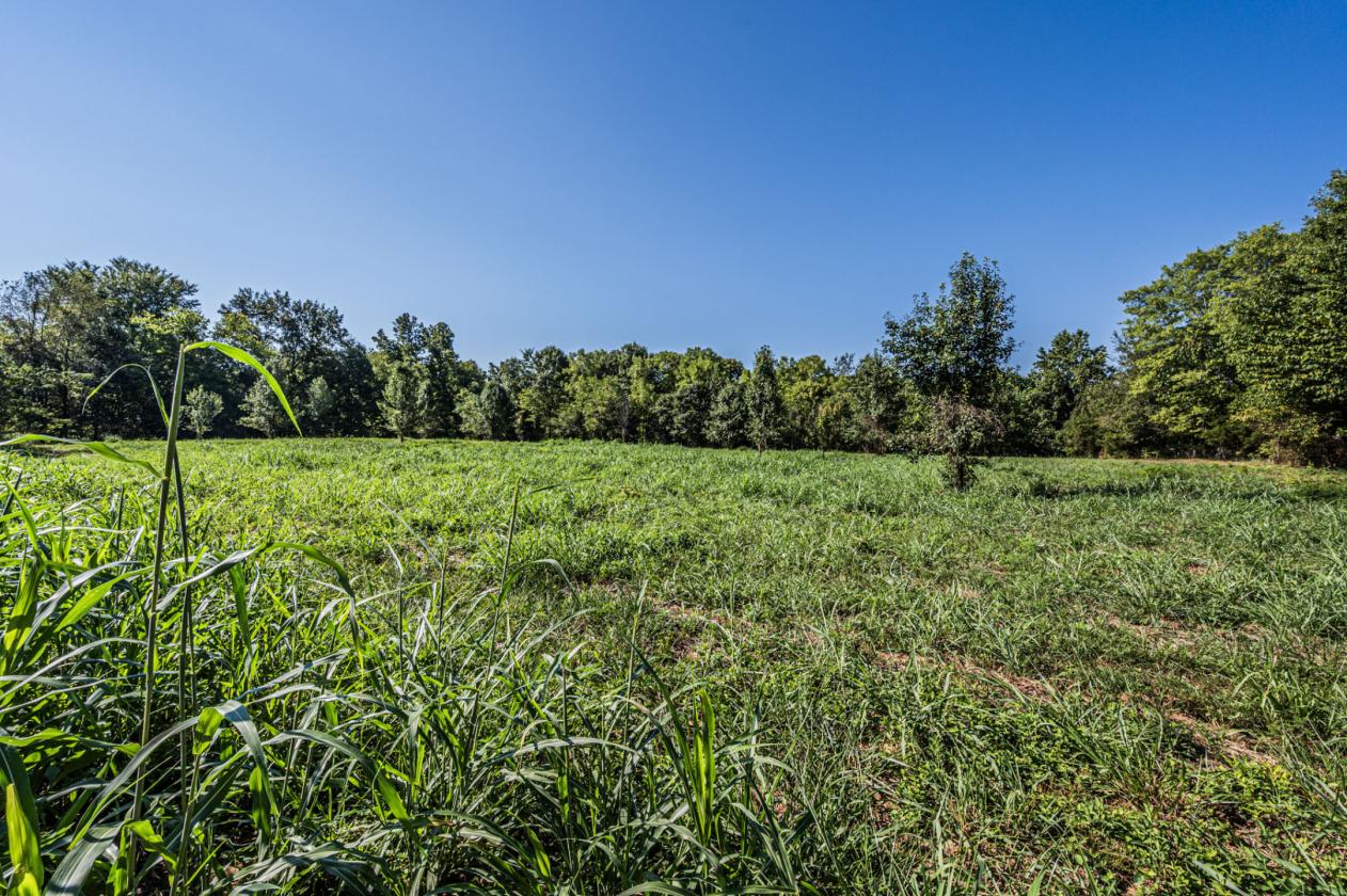 A Home Place Where Quiet Life Meets Horse Country - photo 25