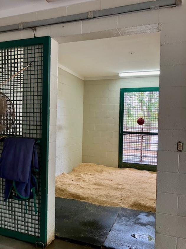 ONE OF A KIND HORSE FARM - photo 4