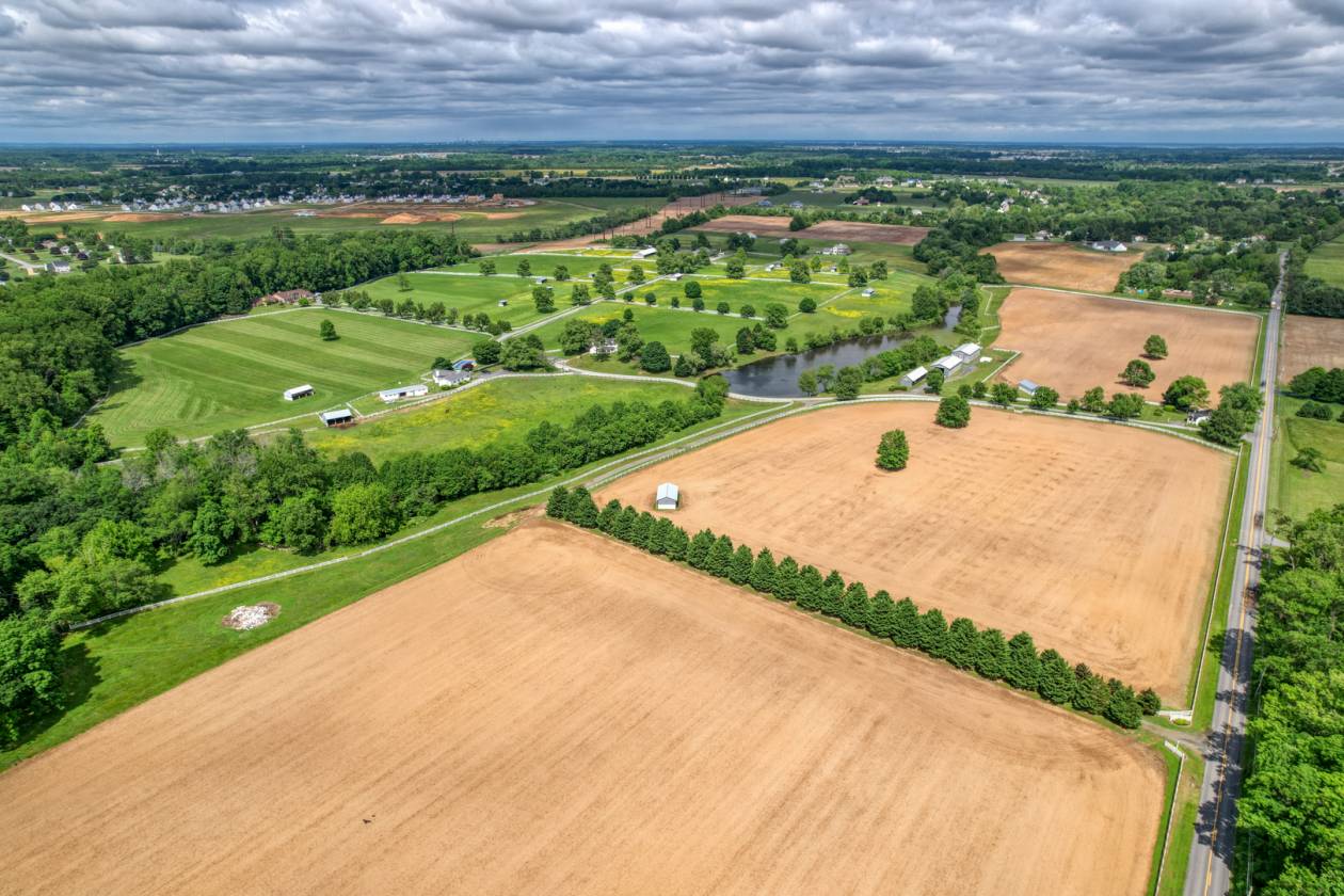 CandyLand Farm: Where Dreams Gallop Free! - photo 8