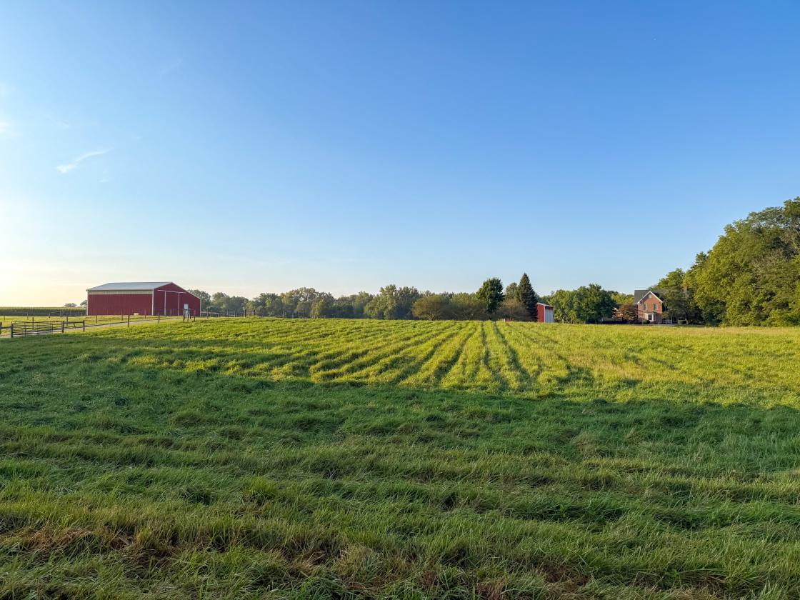 Beautiful Horse property nestled on 20 acres - photo 27
