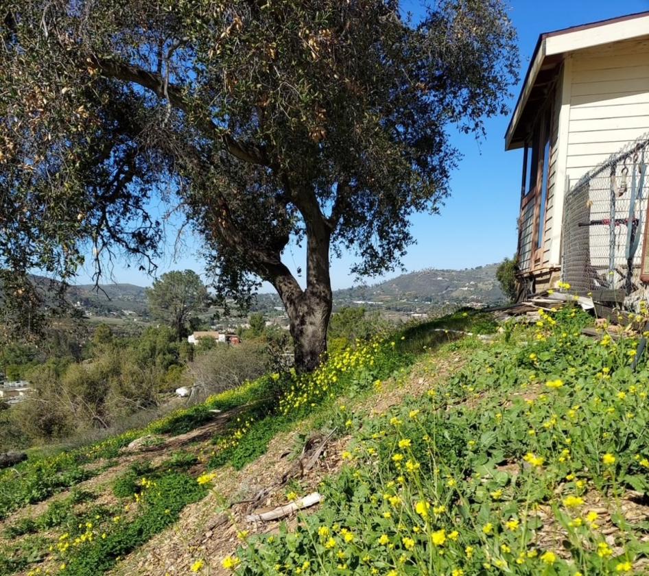 Gorgeous Property in one of Best Cities in America - photo 15