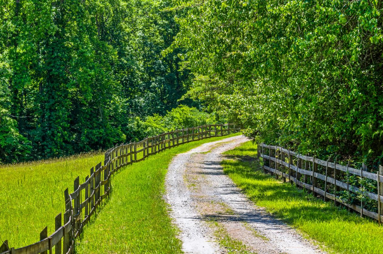 Equestrian estate with 40 acres - photo 8