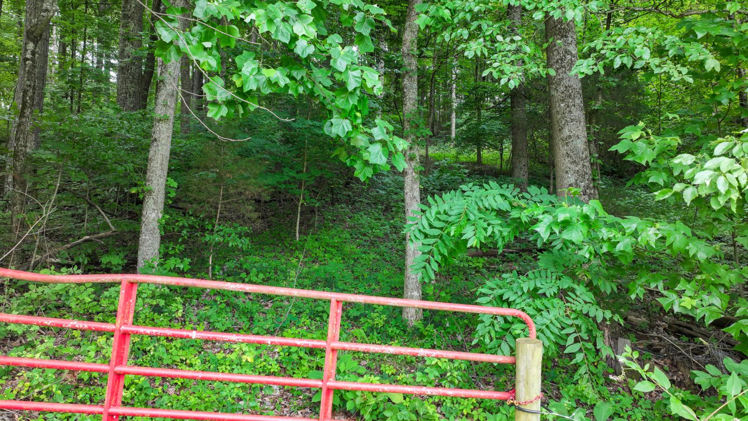 East TN Horse Property with Farmhouse! - photo 17
