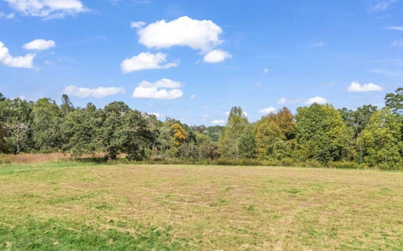 Nearly 50 Acres, Close to Asheville - photo 12