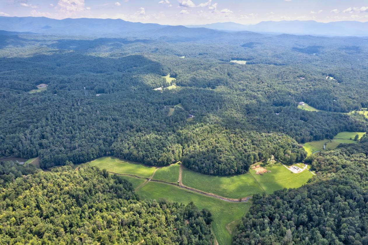 Welcome to "Holly Hill" Your luxury estate - photo 4