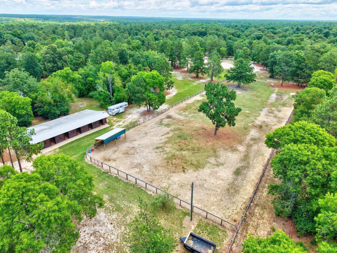 Camden Horse Farm - Miles of Trails - photo 11