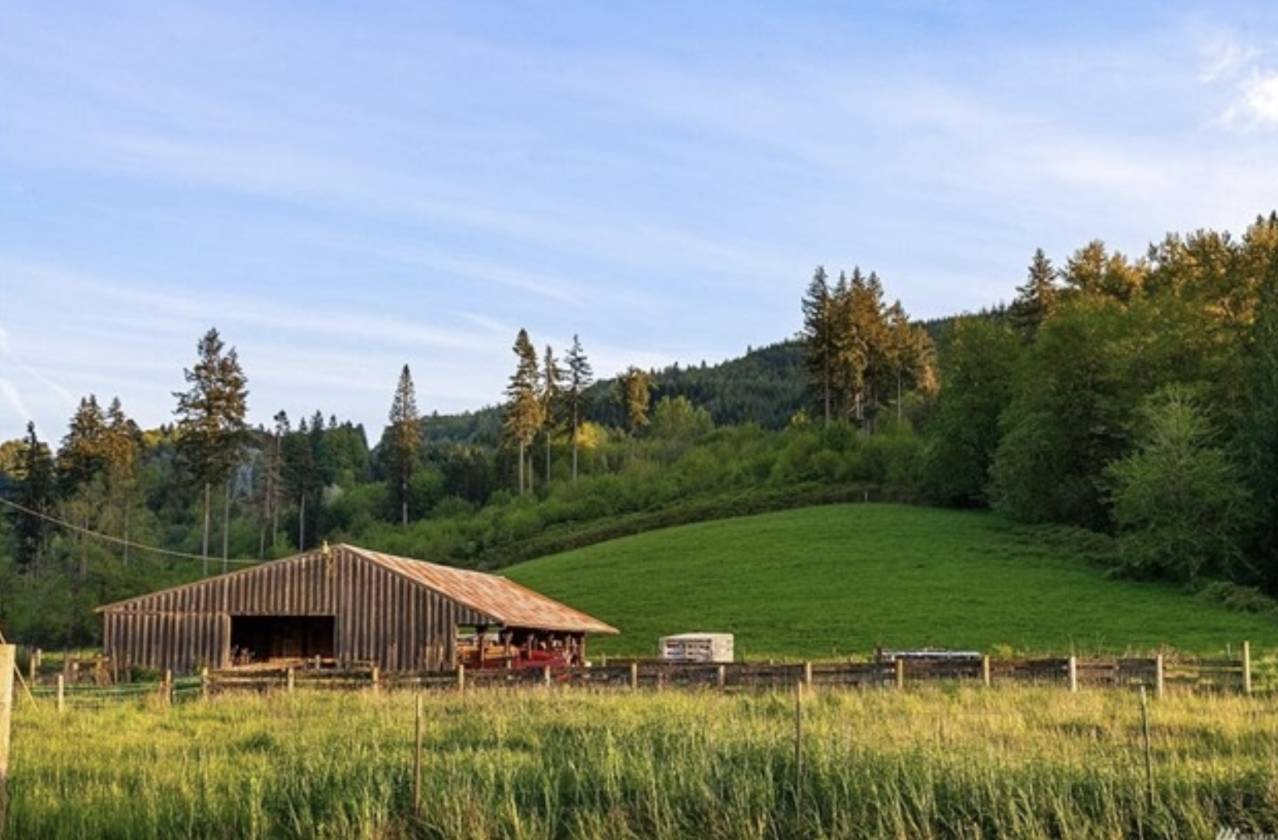 344 Acre Estate w/Modern Farmhouse & Two Miles of Riverfront Kelso