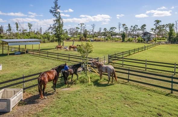 Horse Property for sale.