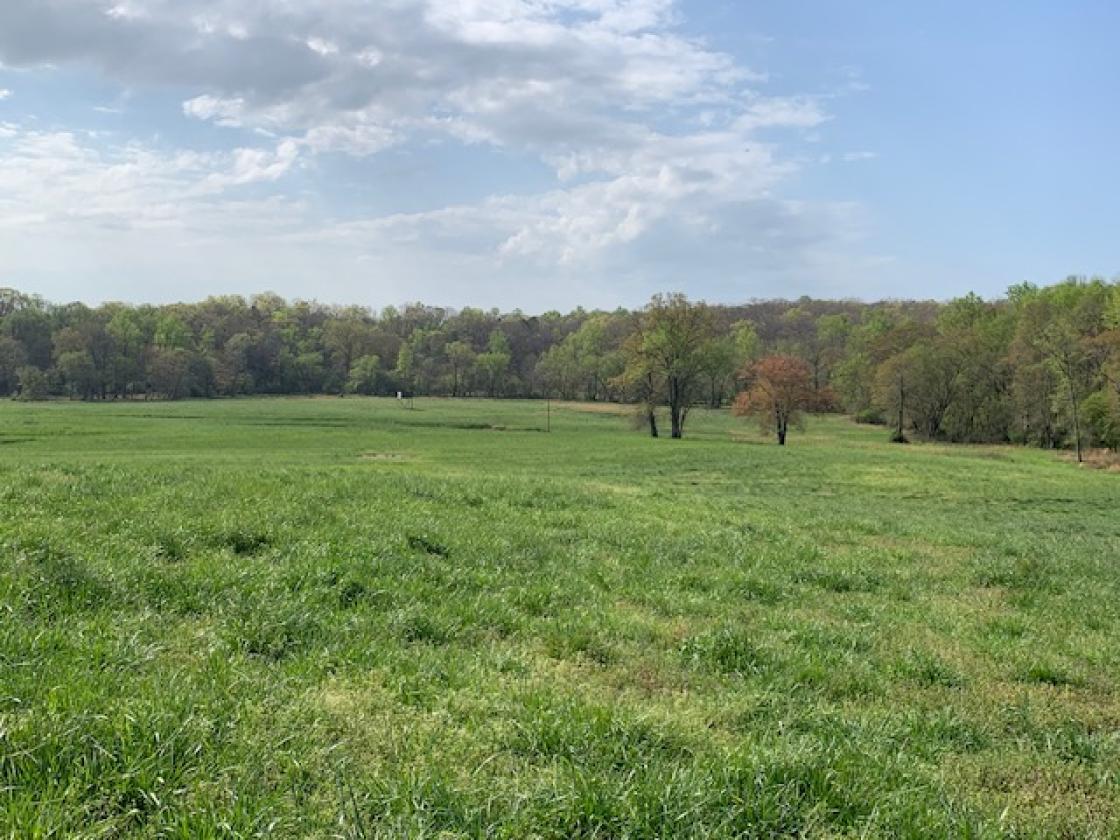 Madison County - Large Estate Farm - photo 12