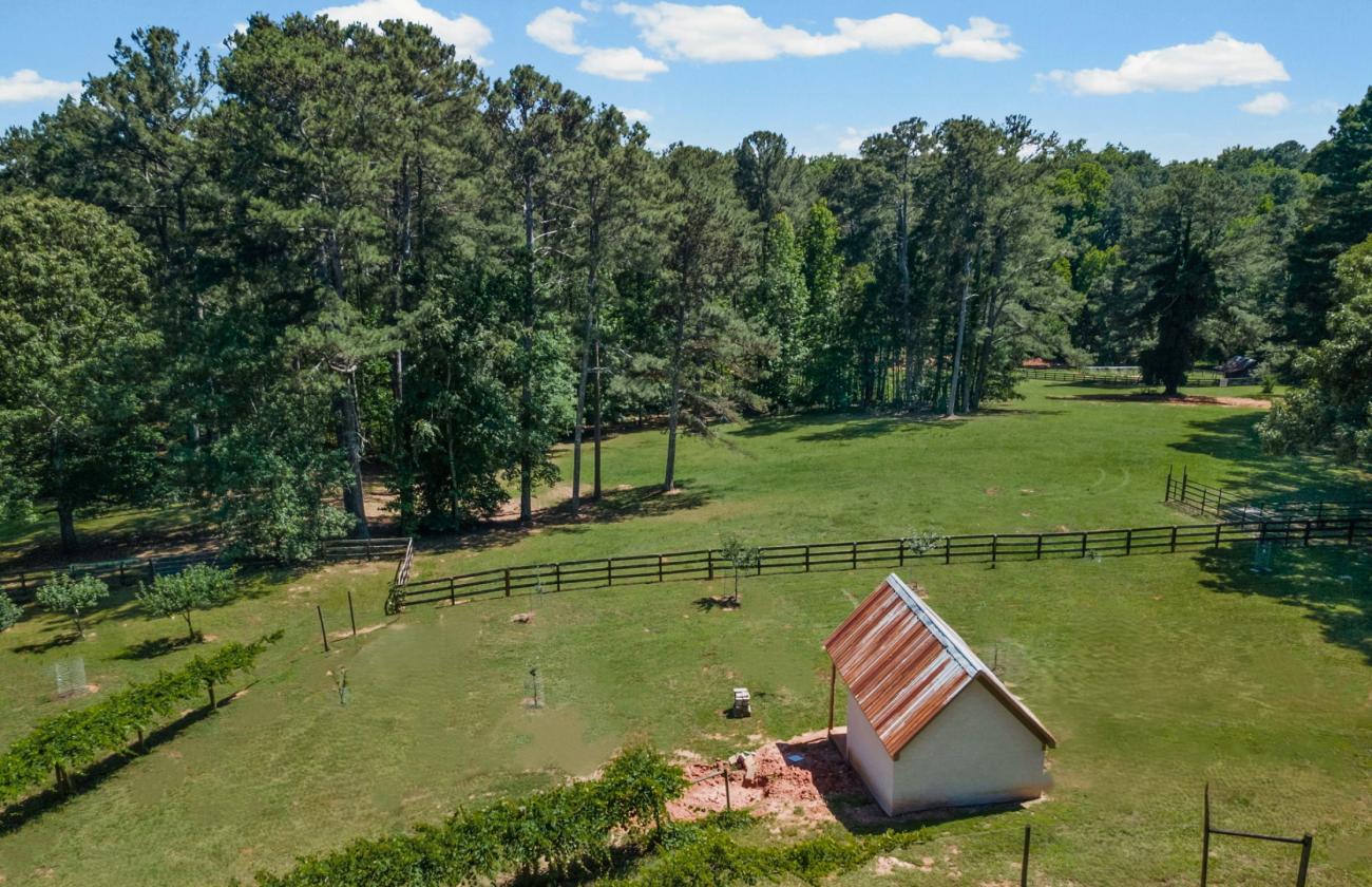 Country Estate, Minutes from Downtown - photo 19