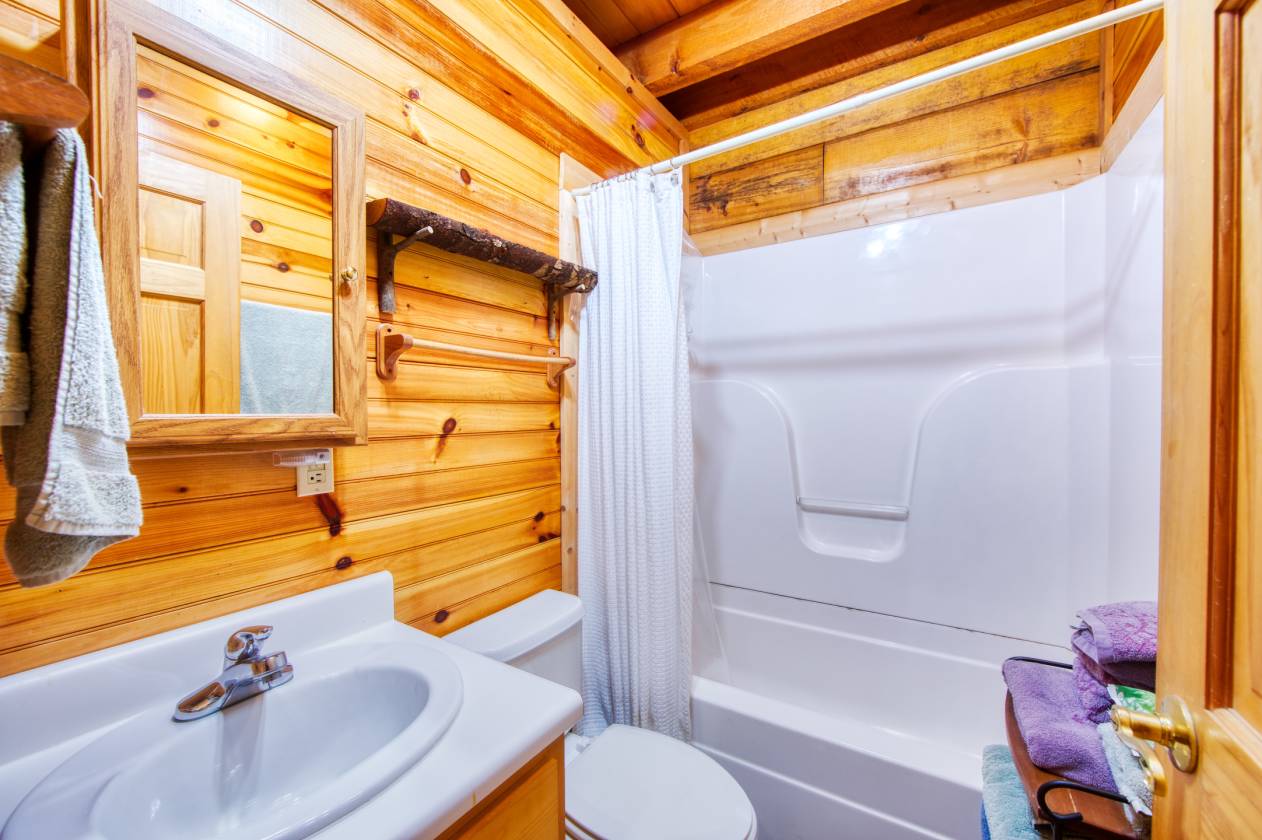 Direct Trail Access Cabin with 8.94 acres Spruce... Jamestown