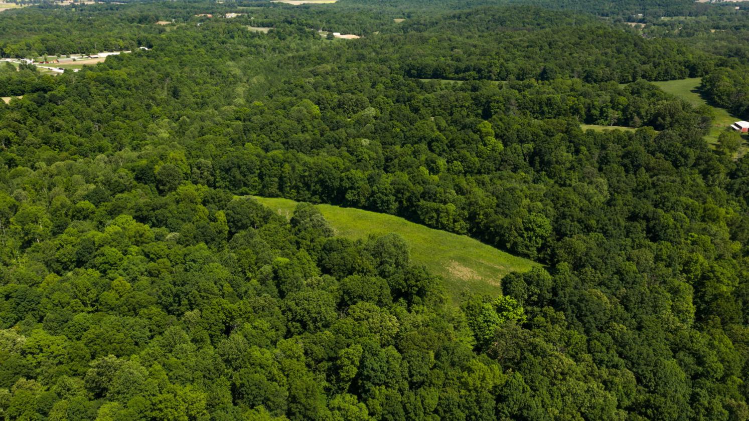 125-Acre Kentucky Farm with Pond, Pasture & Woods - photo 9
