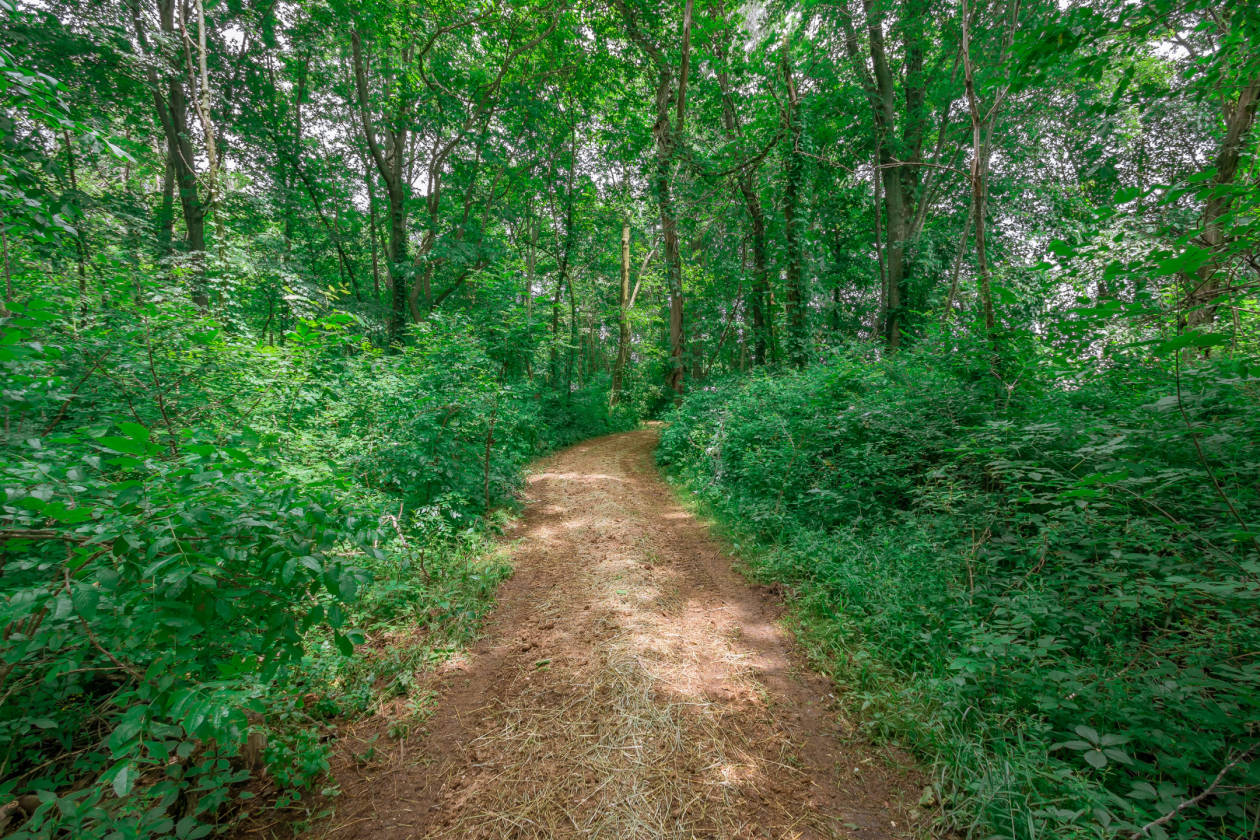 Luxury Equestrian Property with 38,000 SF Barn Plus More Wakarusa, Elkhart County, Indiana