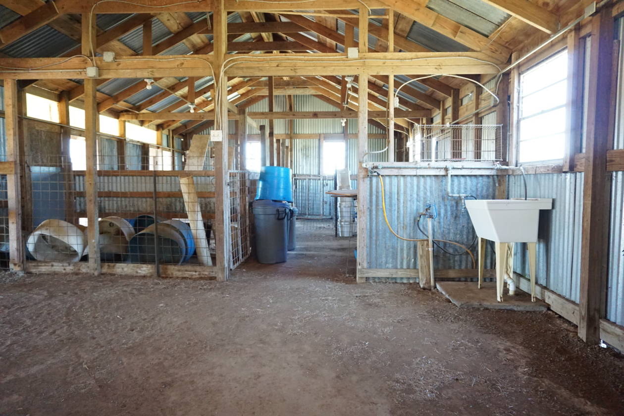 8 Beautiful Acres Ready for Horses Whitesboro, Grayson County, Texas