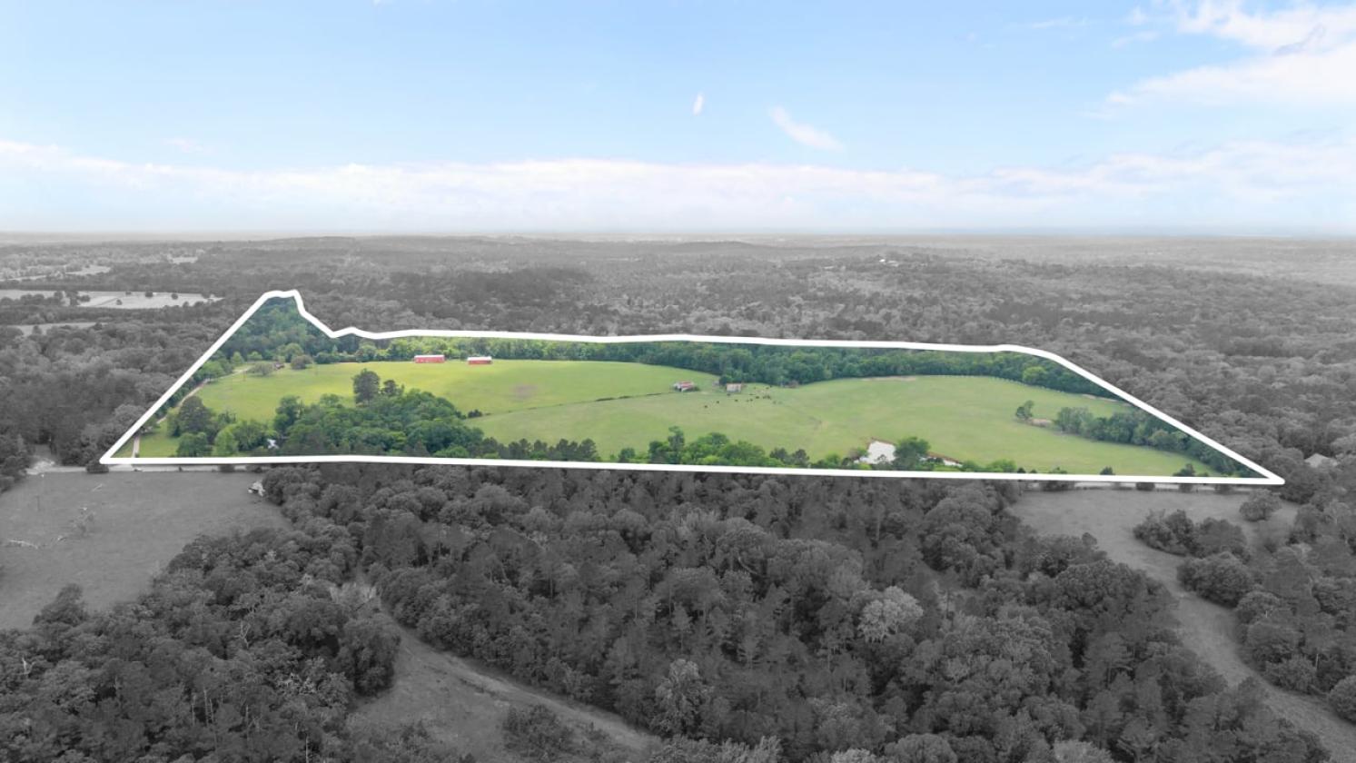 Horse property with breathtaking views - photo 30