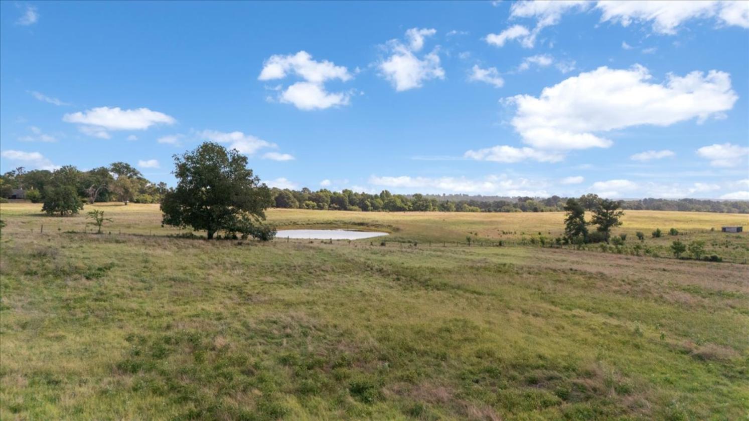 Hickory Hills Farm - 52 acres - photo 10
