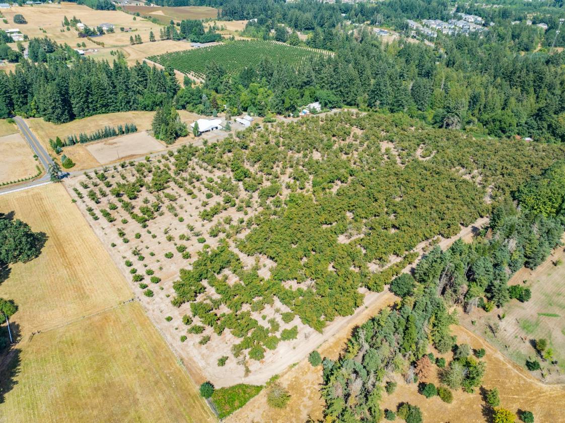2 Hazelnut lots in Sherwood Horse arena Potential! - photo 5