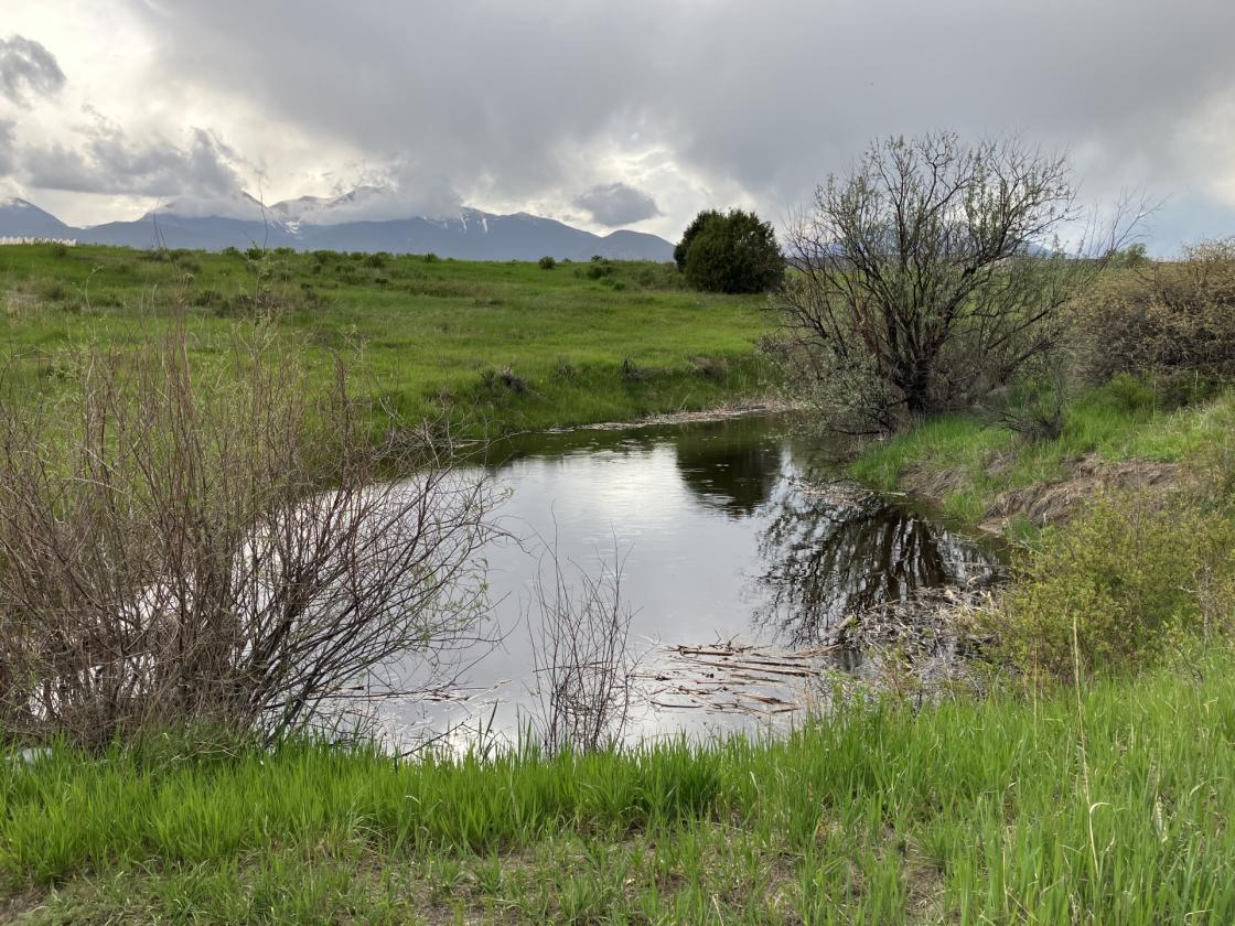 Horse property with multiple income streams - photo 18