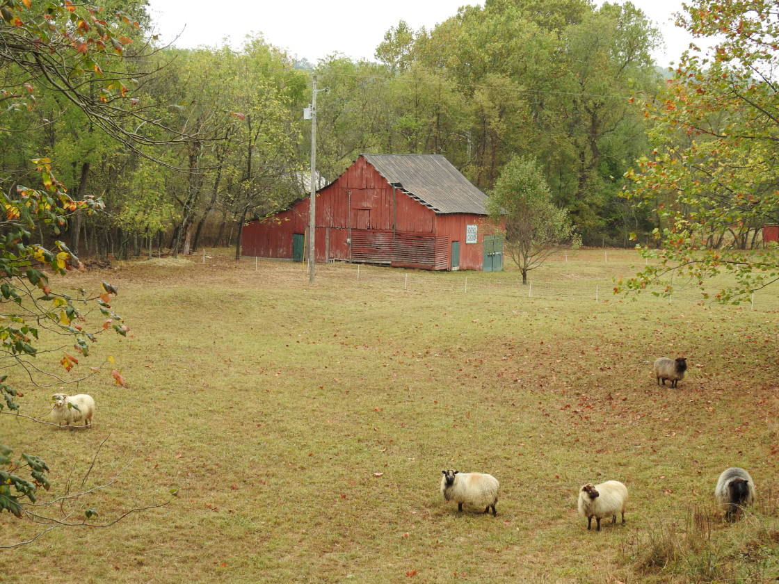 Nice property close to horse trails Sugar Grove, Smyth County