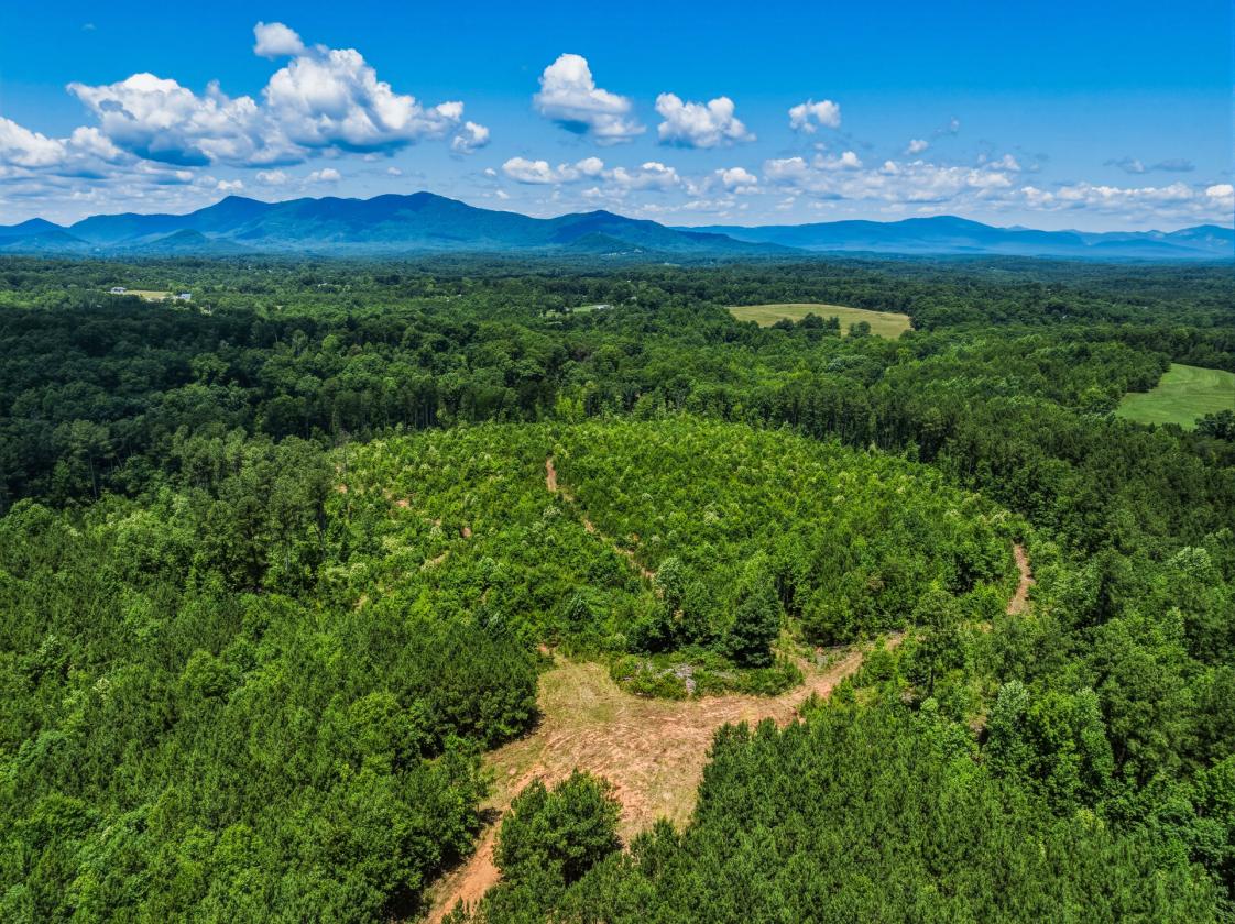 Loblolly Farm Tryon - photo 7
