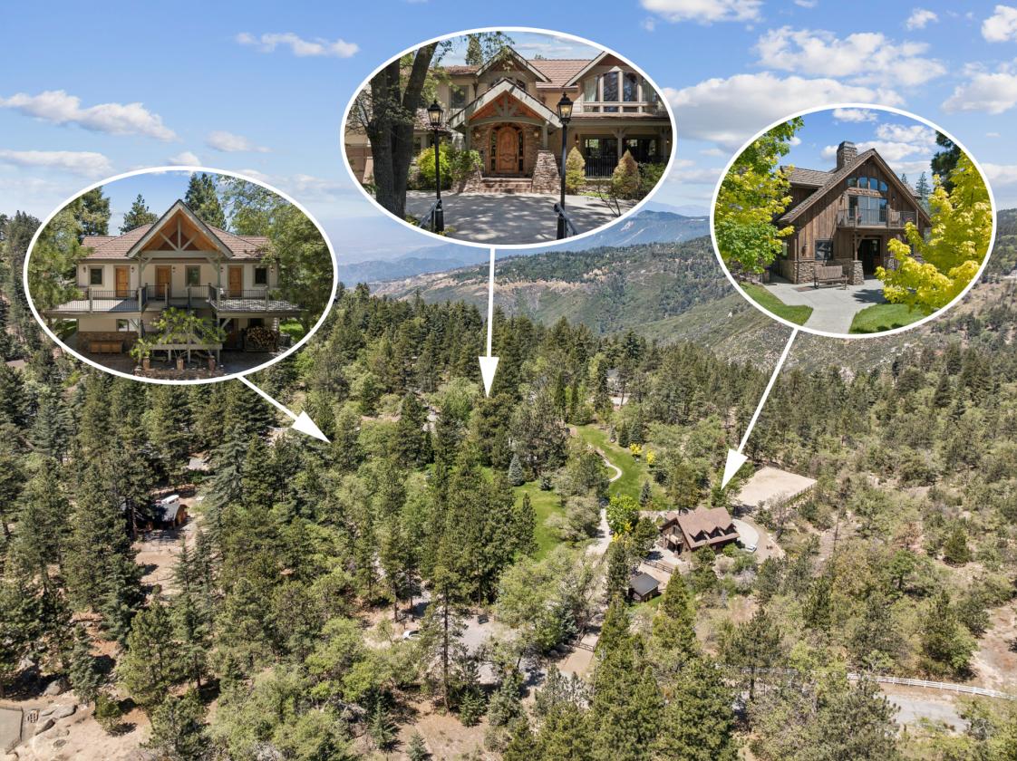 Luxury Equestrian Estate in the Mountains - photo 4