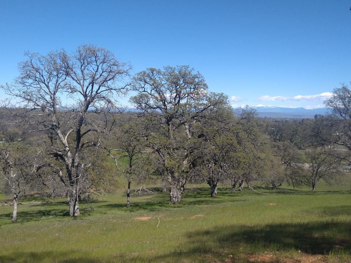 Utilities, Barn, and Mountain Views! - photo 19