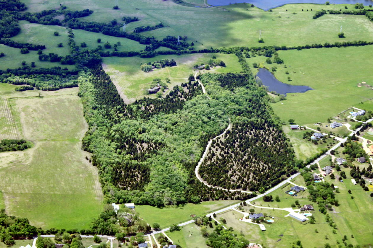 78+ Acres with Trees, 4 Homes,Town of Sunnyvale, Texas close