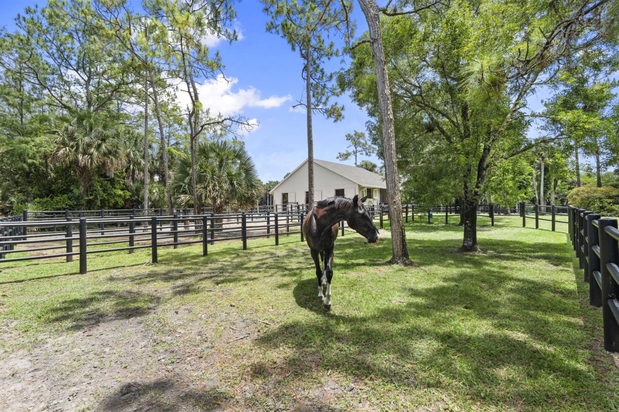 Luxury Equestrian Estate near Wellington - photo 8