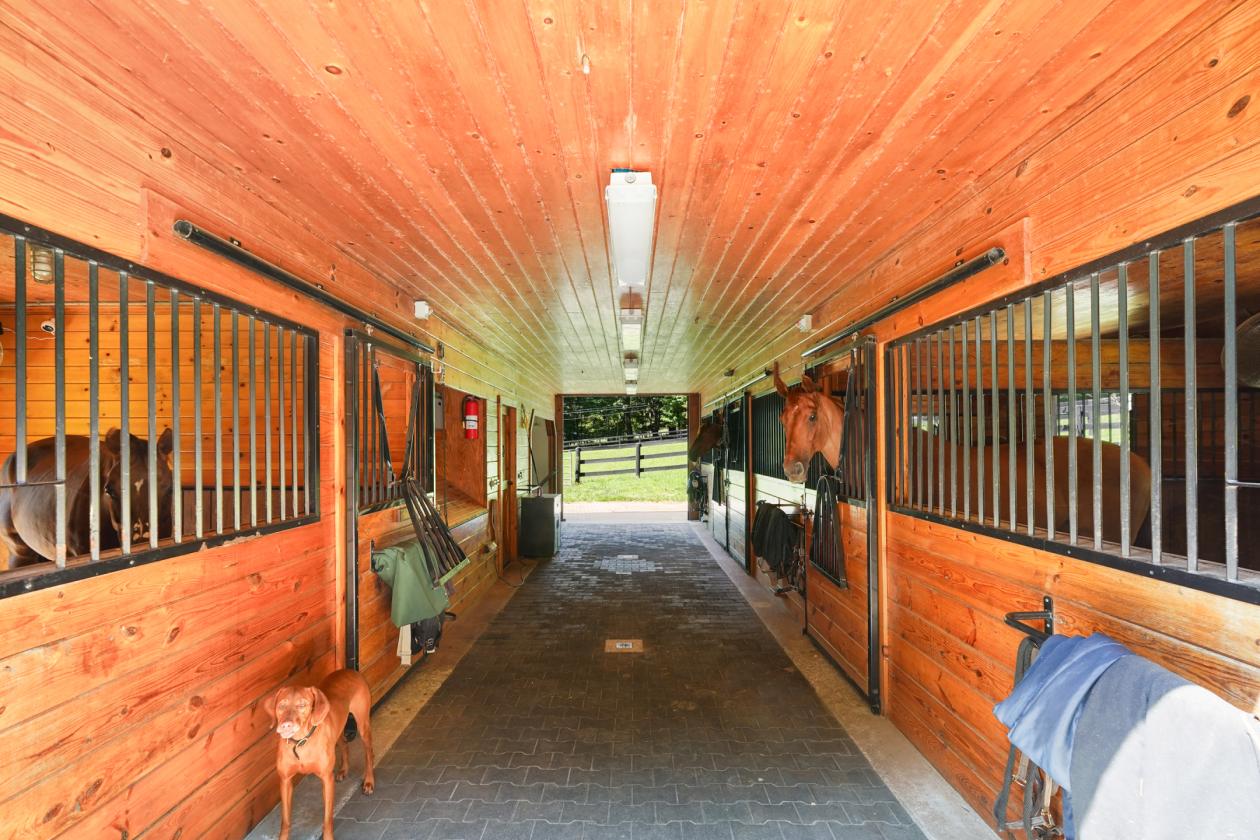 Meadow Ridge Farm - Luxury Horse Property - photo 27