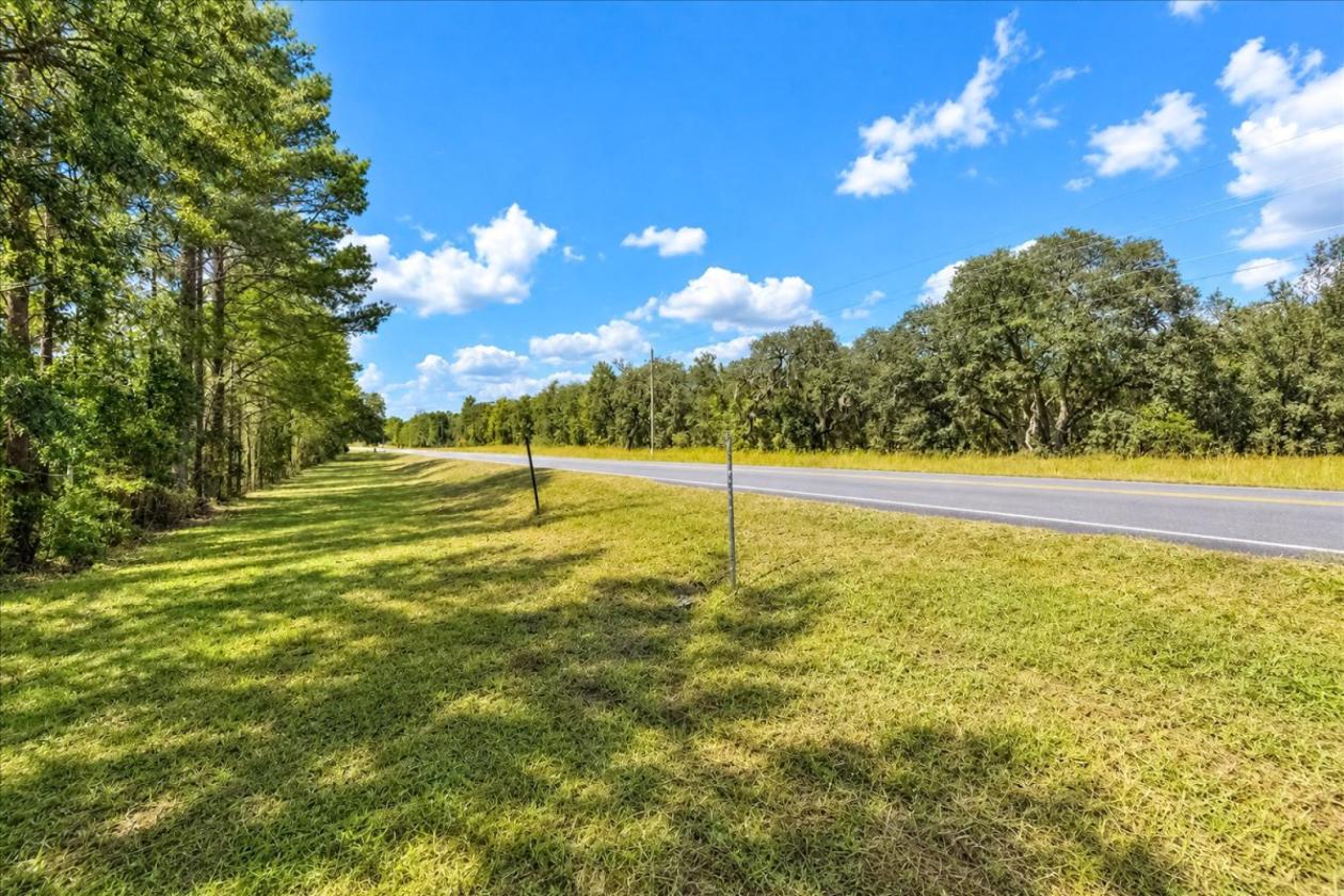 32 ACRES IN LEVY COUNTY NEAR WILLISTON - photo 19