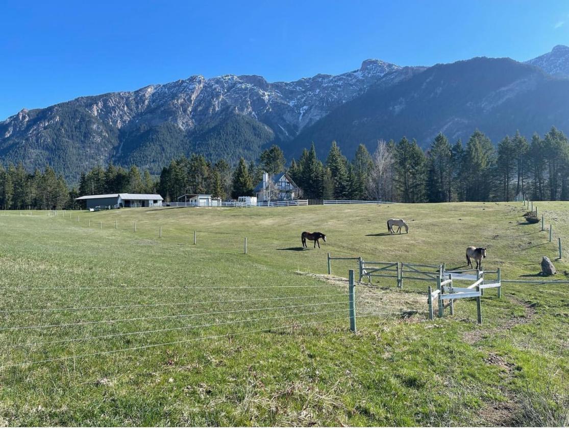 Horse Property in the heart of the Rockys - photo 1