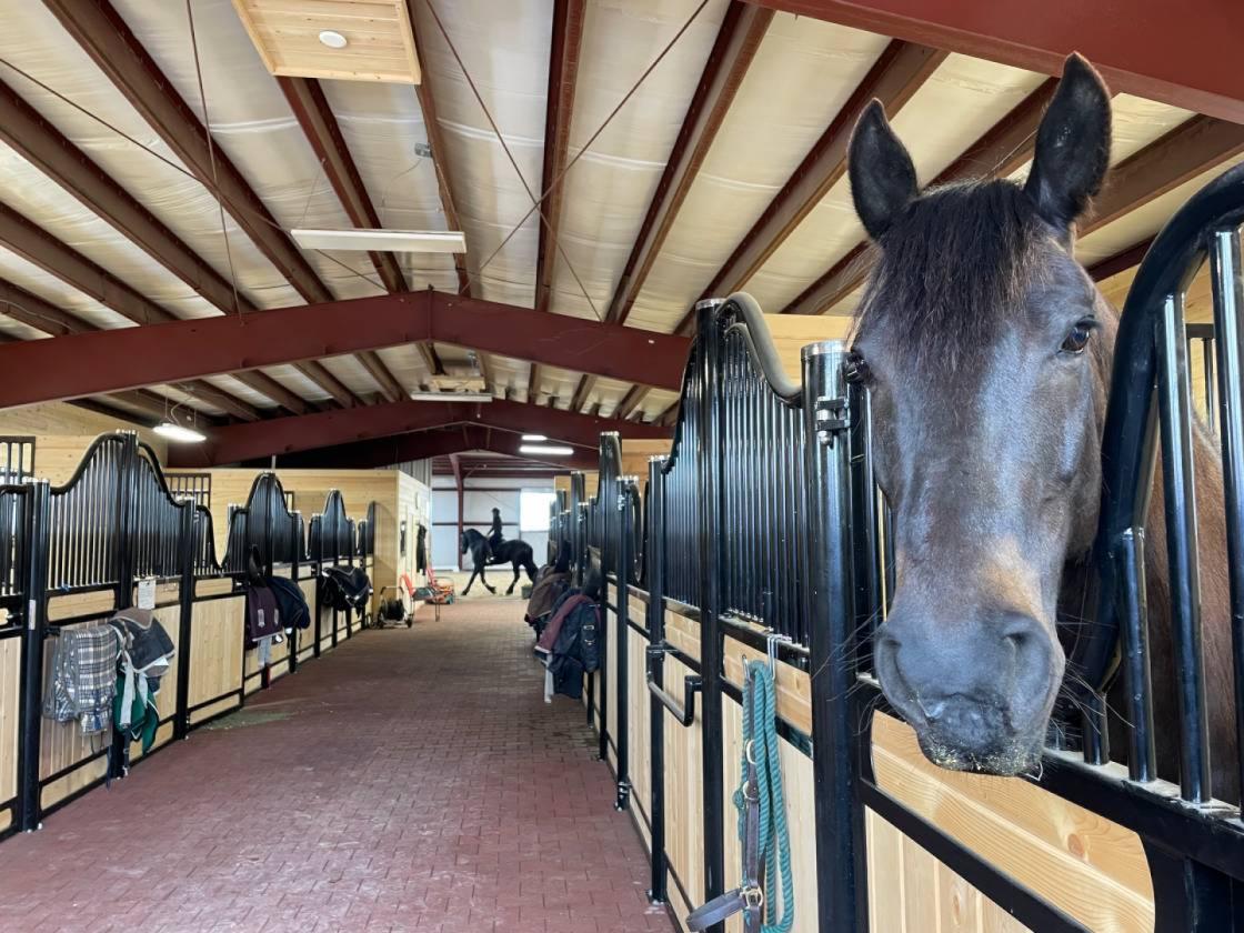 EXCEPTIONAL PARK CITY EQUESTRIAN ESTATE - photo 5