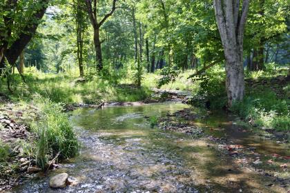Property image.