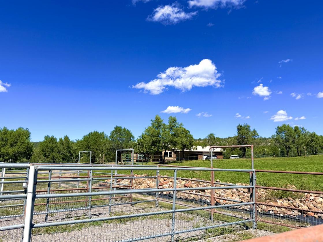 20+ Acre Horse Property w/ Direct Trail Access - photo 26