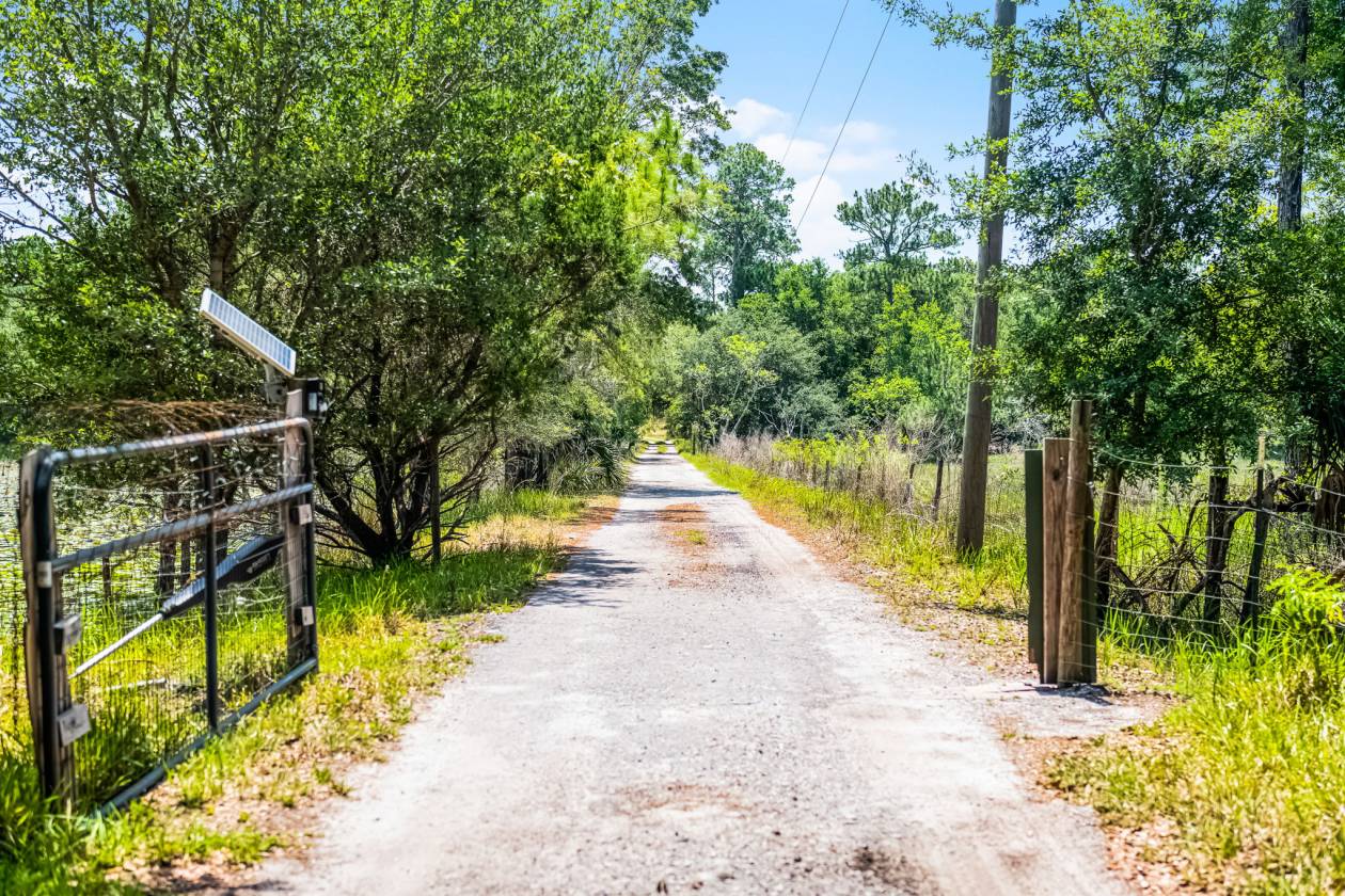 Private & Rare Wild Old Florida 36 Acre Gem - photo 7