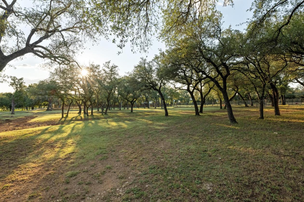 Dancing Oaks Equestrian Ranch - photo 14
